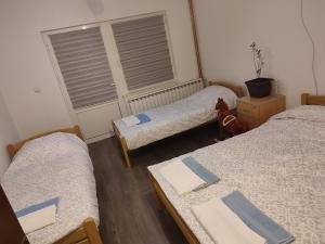 帕莱Janković apartman的有三张床和一扇窗户的房间