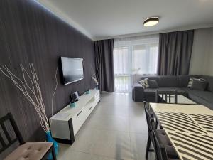 Telewizja i/lub zestaw kina domowego w obiekcie Apartament Wiktoria