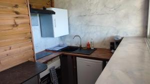 una pequeña cocina con fregadero y encimera en Sunset Sapphire, en Case-Pilote
