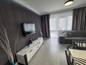 Telewizja i/lub zestaw kina domowego w obiekcie Apartament Wiktoria