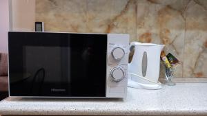 a microwave sitting on a counter next to a mug at Apartment ANI in Vagharshapat