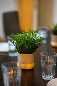 a plant in a pot on a table with glasses at Rooftop Residence in Vienna