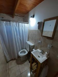 a bathroom with a white toilet and a sink at Cerro Rosado in El Chalten +9 photos