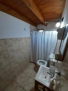 a bathroom with a toilet and a sink and a shower at Cerro Rosado in El Chalten