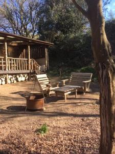 two benches and a tree in front of a cabin at Secret Woodland Hideaway for two in Ilfracombe