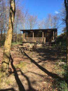 a wooden cabin in the middle of a forest at Secret Woodland Hideaway for two in Ilfracombe