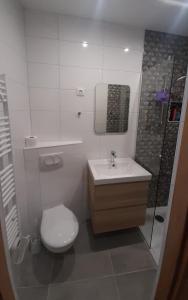 a bathroom with a toilet and a sink and a shower at Apartman Pio in Senj +27 photos