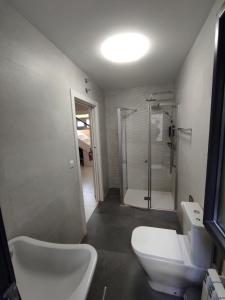 a bathroom with a shower and a toilet and a sink at Los Patios de Santander in Santander