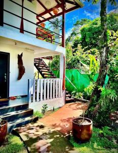 une maison avec une terrasse couverte et un chat sur le mur dans l'établissement BUDDA HOME, à Tortuguero