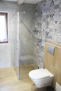 a bathroom with a shower and a toilet and a sink at Apartamenty u Znańca in Sromowce Wyżne