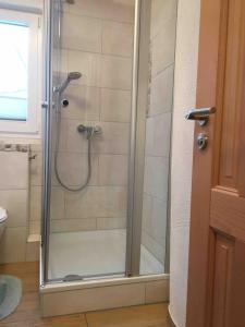 a shower with a glass door in a bathroom at Ferienwohnung Apartment Doppelzimmer in der Villa Naturpark Rheinblick, ruhig, Aussicht, Pool in Koblenz +22 photos