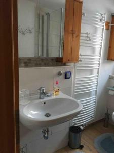 a bathroom with a white sink and a mirror at Ferienwohnung Apartment Doppelzimmer in der Villa Naturpark Rheinblick, ruhig, Aussicht, Pool in Koblenz