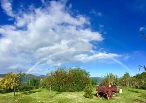 an old truck in a field with a rainbow in the sky at Agricampeggio Cà di Mazza in Monzuno