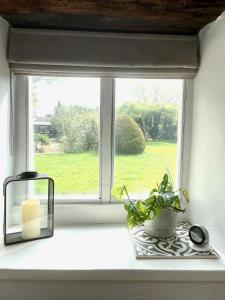a window with a plant and a candle on a window sill at Beautiful self-contained Cotswolds Barn in Yatton Keynell