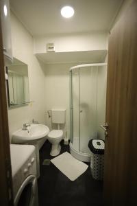 Koupelna v ubytování Apartman Dana