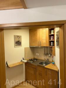 a kitchen with wooden cabinets and a sink at Apartman Jahorina-hotel Vucko in Jahorina +10 photos