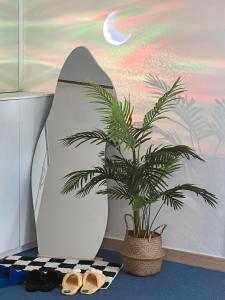 a potted plant sitting next to a surfboard next to a plant at Modern K-style House in Seoul