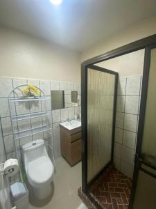 a bathroom with a toilet and a sink at Agutí Apartment in Manuel Antonio