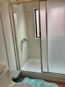 W łazience znajduje się prysznic ze szklanymi drzwiami. w obiekcie Cabañas Esmeralda con Desayuno w mieście Punta Arenas
