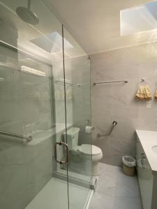 伯納比的住宿－Serenity，一间带卫生间和玻璃淋浴间的浴室