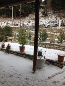 Guesthouse Gonia talvel
