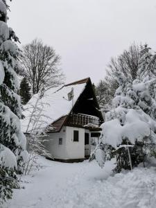 a house covered in snow next to some trees at Koča Kresnica in Ilirska Bistrica