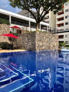 a swimming pool in front of a building with a tree at Lujoso departamento Winner in Cuernavaca