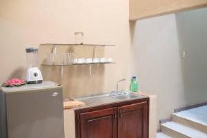 uma cozinha com pia e geladeira em Casco histórico Demeter em Comayagua