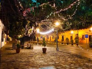 une rue la nuit avec des lumières de Noël sur un arbre dans l'établissement Casco histórico Demeter, à Comayagua