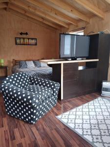 een woonkamer met een tv en een stoel bij Cabañas Roka Caburgua in Pucón