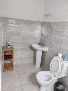een badkamer met een toilet en een wastafel bij Keshy island colibri in Baillif