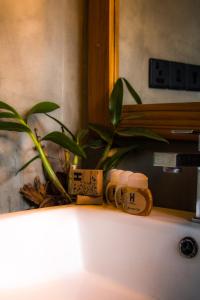 a plant sitting on a counter in front of a mirror at Serene Villa in Hiriketiya