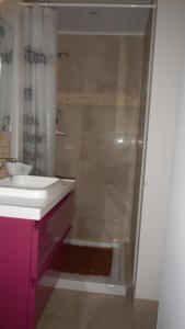 een badkamer met een wastafel en een douche bij le gîte Lou Jas in Eyragues