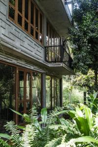Κήπος έξω από το Serene Villa Hiriketiya
