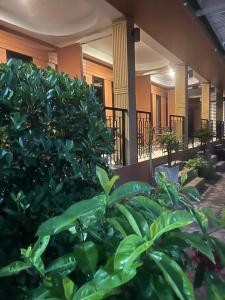 Zahrada ubytování The leaf&pool kohlarn เดอะลีฟ&พลู ที่พักเกาะล้าน