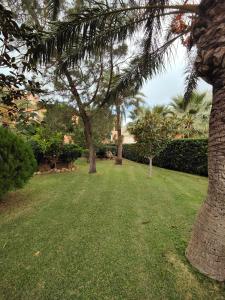 a group of palm trees in a yard at Luxury Apartments Mascarat in Altea
