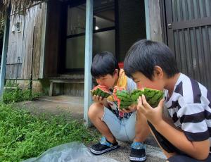 Dwóch młodych chłopców siedzi i trzyma rośliny. w obiekcie ゲストハウス ハルの家 w mieście Amami