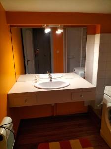 a bathroom with a sink and a mirror at Maison des Gabelous in Guipry-Messac