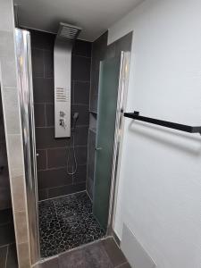 a shower with a glass door in a bathroom at Möwenstübchen in Zingst