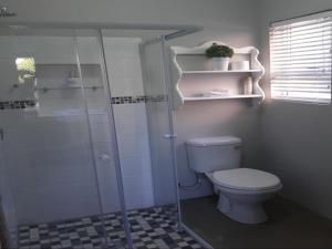 Un baño con inodoro y ducha de cristal. en Essi Selfsorg Akkommodasie, en Beaufort West