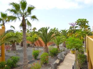 Fotografie z fotogalerie ubytování Oasis Papagayo Paradise v destinaci Corralejo