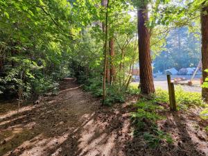 un camino de tierra en el bosque con árboles en Camping Siesta en Lille