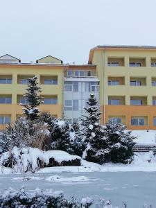 Το Lipno Wellness - Frymburk C 401 τον χειμώνα