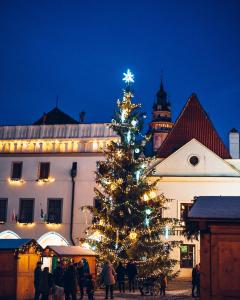 チェスキー・クルムロフにあるペンジオン マスタルの建物前の灯り付きクリスマスツリー
