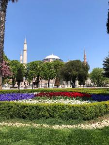 a garden of flowers with a mosque in the background at Nomade Hotel Exclusive in Istanbul
