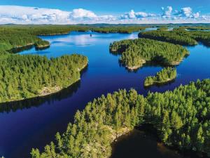 an aerial view of a river with forests at Hytte Narie 2 in Bogaczewo