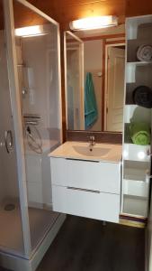 y baño con lavabo y ducha con espejo. en La Grange du Héron, en Balaguier-dʼOlt