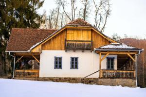 Dobrica Hunting Lodge iarna