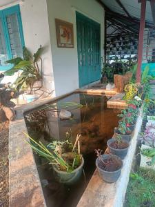 a pond with potted plants in front of a house at Osaree Agro and Art Hub in Kolhapur