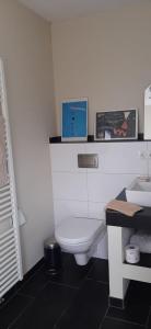 a white bathroom with a toilet and a sink at Blaues Haus-Urlaub mit Alpakas oder nur eine schöne Unterkunft in der schaalseergion 